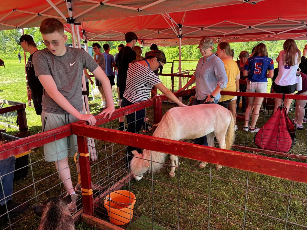 Students and teachers meet and pet animals at Lancer speak up day. (Photo by Sean Cornett)