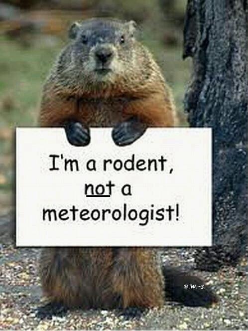 Mr. Punxsutawney Phil has just announced that we will have six more weeks of winter followed by a late spring. (Image used by Pinterest)